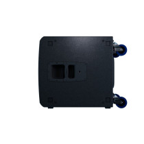 QSC LS118