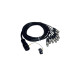 ITPRO/SY25M8F-2,5 Frusta 8 Canali Syntax M Cannon XLR F 2,5 mt