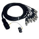 ITPRO/SY25M8F-2,5 Frusta 8 Canali Syntax M Cannon XLR F 2,5 mt