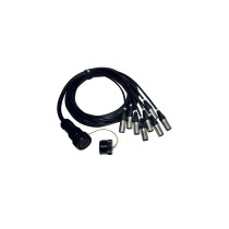 ITPRO/SY25F8M-2,5 Frusta 8 Canali Syntax F Cannon XLR M 2,5 mt