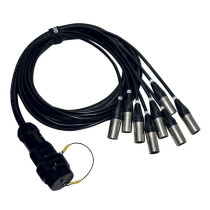 ITPRO/SY25F8M-2,5 Frusta 8 Canali Syntax F Cannon XLR M 2,5 mt