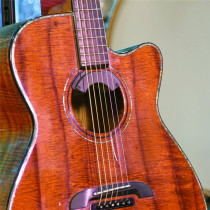 Fluence Acoustic ROCK ICON Guitar Pickup (PRO-FLA-RR1)