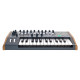 MiniBrute 2