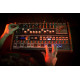 MiniBrute 2S