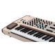 PolyBrute 12