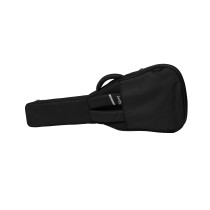 ASPGIG-LG Premium Gig Bag  Small-Body Black