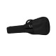 ASPGIG-LG Premium Gig Bag  Small-Body Black