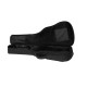 ASPGIG-LG Premium Gig Bag  Small-Body Black