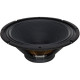G12-100 Raven 12" 100W 8ohm