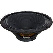 G12-100 Raven 12" 100W 16ohm