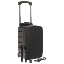 TR12-BT Altoparlante Portatile a Batteria con 2 Microfoni Wireless e Bluetooth