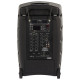 TR12-BT Altoparlante Portatile a Batteria con 2 Microfoni Wireless e Bluetooth