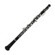 OBE100