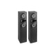 SHF700B Tower Set 2x 6.5Black