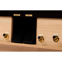Maestro 40 | Organo Digitale Physis Plus Surround