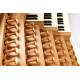 Ouverture 355 | Organo Digitale Physis Plus Surround 10.2