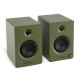 VICTROLA SPEAKER BT TEMPO GREEN