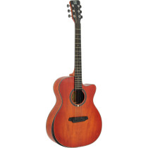 QGA-102 RDC (NO PREAMP)