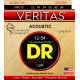 VTA-12 VERITAS