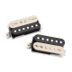 SET SH-4/SH-2 50TH ANNIVERSARY ZEBRA