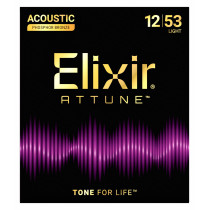21052 ACOUSTIC PHOSPHOR BRONZE ATTUNE