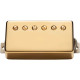 APH-2N SLASH ALNC II PRO HB GOLD COVER