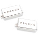 SET PHAT CAT NICKEL