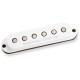 SSL-5L CUSTOM STAG STRAT LFT
