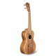 ACST-C UKULELE CONCERTO CON TOP IN ACACIA