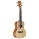 RU26C REGENT UKE