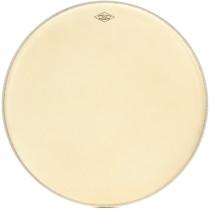 MOTC-M20