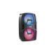FT208LED Portable System 2x8BT