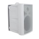 Diffusore passivo 45W