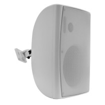 Diffusore 100V e 8 Ohm - 65W
