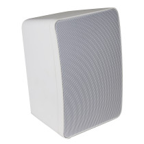 Diffusore wireless 50W