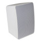 Diffusore wireless 50W