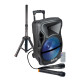 Diffusore amplificato con radiomicrofono 600W PMPO