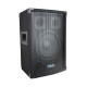 Diffusore passivo 300W