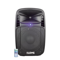Diffusore amplificato 410W