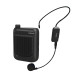 Amplificatore portatile