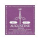REG G-3RD AUGUSTINE