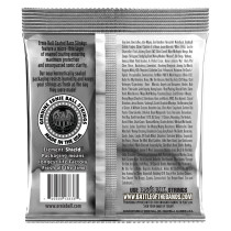 P03836 ERNIE BALL