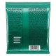 P02026 ERNIE BALL