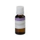 FF20ML-GRAPES SOUNDSATION