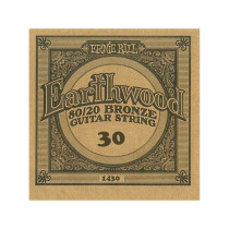 P01430 ERNIE BALL