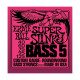 P02824 ERNIE BALL