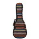 BUSC-B SOUNDSATION