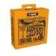 P03222 ERNIE BALL