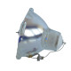 2R-LAMP SOUNDSATION