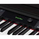 DP-460K MEDELI